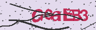 Captcha認証コード
